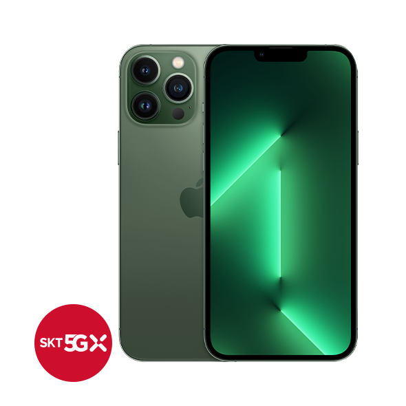 iPhone 13 Pro Max 256G